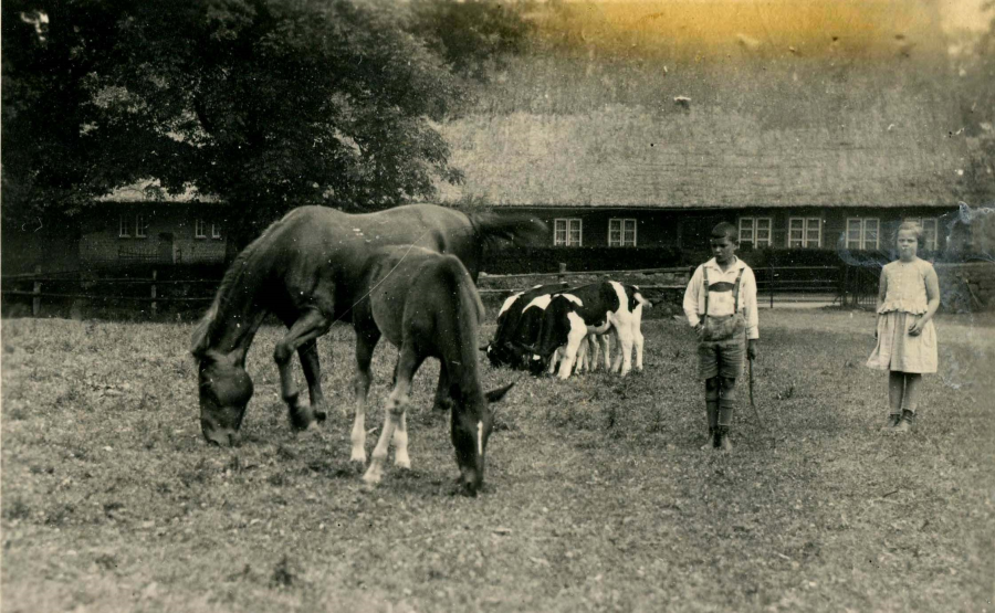 Ferck‘scher Hof, Museumsdorf Volksdorf