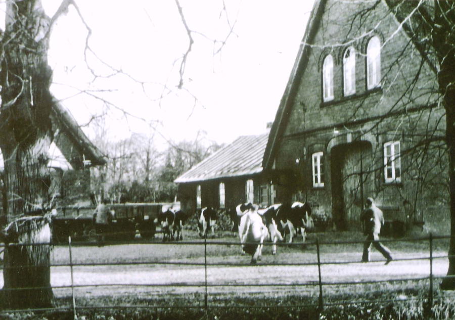 Ferck‘scher Hof, Museumsdorf Volksdorf