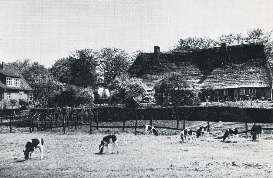 Wagner Hof, Museumsdorf Volksdorf