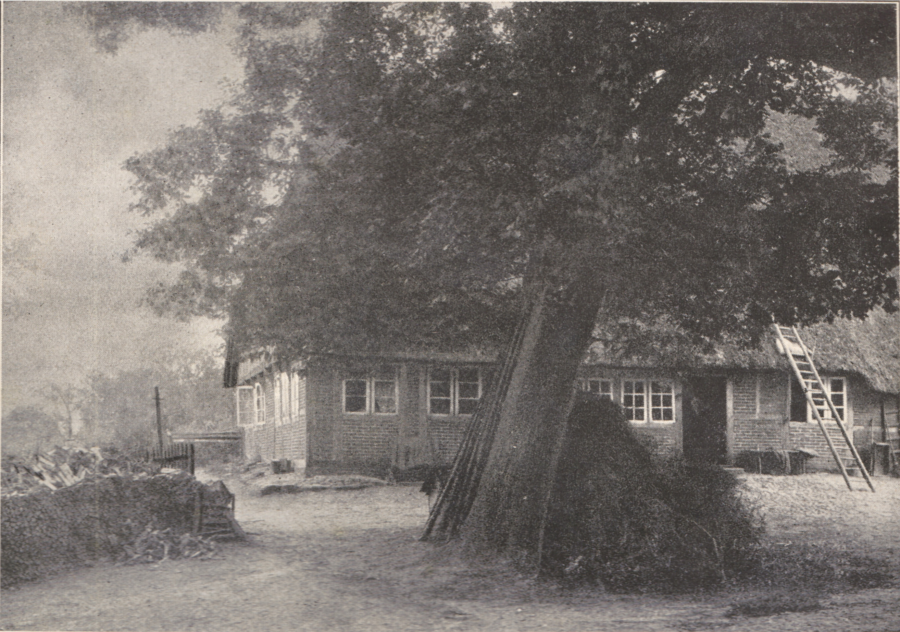 Spiekerhus, Museumsdorf Volksdorf